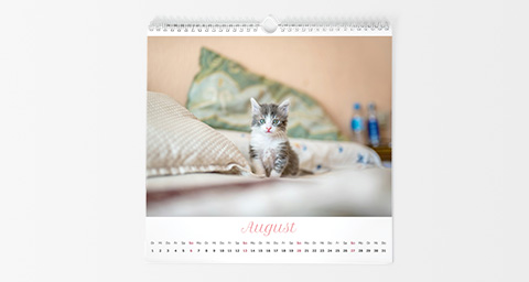 Wandkalender mit Lieblingsfotos selbst gestalten